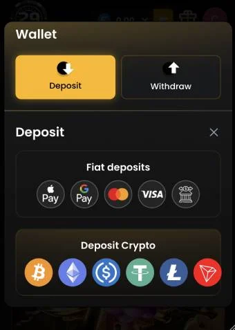 29black casino payment